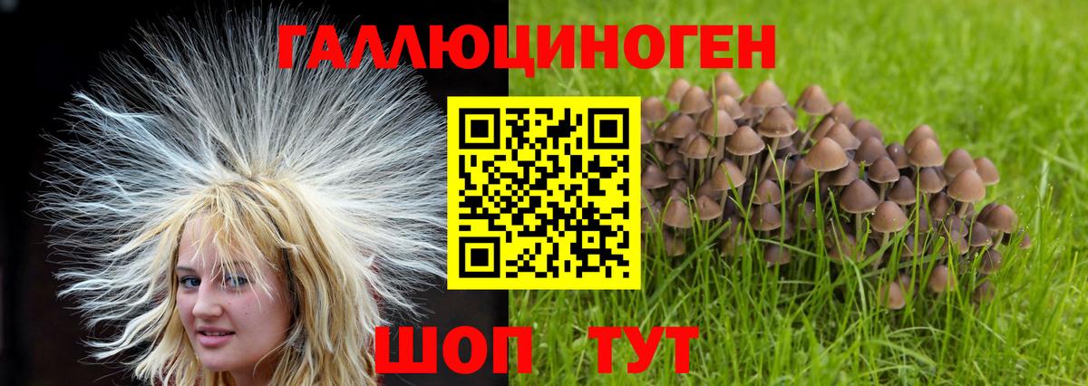 Гуково  Галлюциногенные грибы Cubensis  Вход с VPN  Галлюциногенные грибы Magic Shrooms 